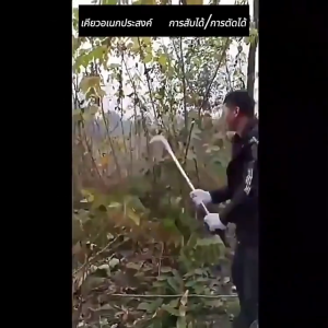 เคียวเหล็กแมงกานีส มีดถางหญ้า คมชัดและไม่เป็นสนิม(เคียวแมงกานิส มีดงอ มีดเหล็กแมงกานีส มีดแมงกานีส เคียวเกียวหญ้า มีดเกี่ยวหญ้า มีดตัดต้นไม้ เคียวตัดหญ้า มีดตัดหญ้า