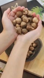 ซื้อ2แถม1 โปรแถมสุดคุ้ม 250gx2กล่อง แถม 100gx1กล่อง B-Garlic BGarlic B Black Garlic บี-การ์ลิค บีการ์ลิค บีกาลิค บีกาลิก บีการ์ลิก กระเทียมดำ