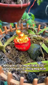 Mô hình cây kim xiền tài lộc bằng nhựa trang trí – Túi xiền phát lộc may mắn mới nhất 2026