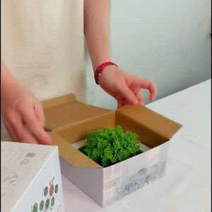 Tanaman Hias Plastik Bunga Kaktus Artificial Ornamen Pot Bingkai Dinding Dekorasi Rumah COD PBP14