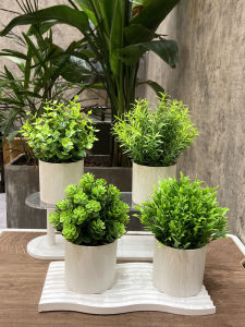 Đồ Trang Trí Hoa Nhựa Trong Suốt Đồ Trang Trí Phòng Khách Đồ Trang Trí Bàn Làm Việc Đồ Trang Trí Tủ Rượu Đồ Trang Trí Cửa Hàng