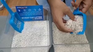 อเมริกาลิตเติ้ล ทรายแมวข้าวสาลี สูตร พรีเมียม แบบเกล็ด ขนาด 11 ลิตร