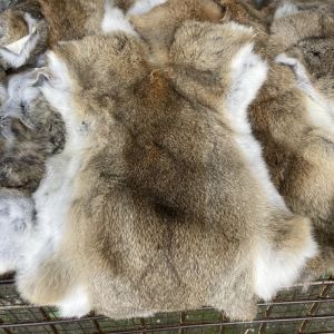 Whole Rabbit Skin Leather DIY Jewelry Knee Pads Seat Cushion Inner Cloth Rabbit Fur Material One Piece Skin And Hair