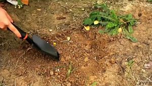 Garden Tool Set Heavy Duty Garden Trowels Cast Aluminum Garden Hand Shovels with Non Slip Rubber Grip Idea for Transplanting Weeding Digging Planting Shovel Rake Hoe Gardening Tools garden shovel