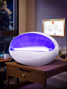 SUIYI | Indoor Fly Trap Sticky Capture Insect Killer