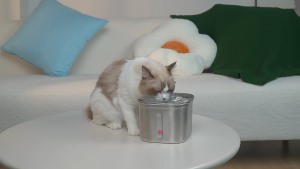 Teekland Cat Water Fountain Stainless Steel Water Dispenser Safe Dog Bowl Automatic Silent 304 Stainless Steel Cat and Dog Drinking Bowl 2.2L With Water Level Window