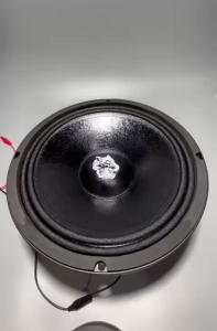 Loa bass 25 SOWAY - giá 1 cái - neo khối 100 côn 76 màng chống thấm - hàng nhập