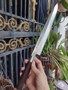 Dao lọc sashimi dài 42cm