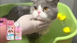 Dog Cat Pet Fragrance Shampoo Long Lasting Scent Deodorize Clean Dirt Prevent Tangling Make Coat Soft Shiny Pet Bath Shower Gel