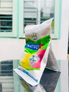 Fungisida sistemik NATIVO 75WG dari bayer MANTAP