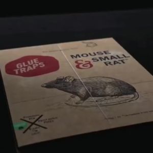 1PC Household Sticky Mouse Trap with Glue for Catching Insects Pest Control