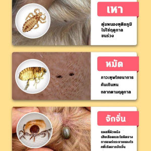 เห็บหมัด 500ml สูตรพืช ปลอดภัย สเปรย์กามยา เหมาะสำหรับแม่และเด็ก | ราคาถูกต้อง ไม่ได้หมัดหรือไม่ได้กำจัด | กำจัดแมลงได้ 100 ชนิด ไล่เห็บหมัด กำจัดเห็บหมัด ไร เหา แมลงสาบ ยุง แมลงวัน มด