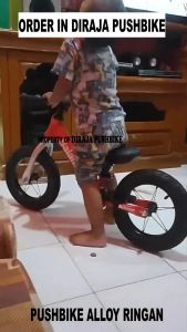 Sepeda Anak Aluminium Alloy Ringan: Balance Bike & Push Bike