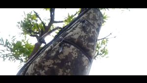 Zorc Official - Moraes | Tas Biola 4/4 | Case Violin Green