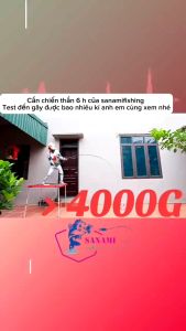 Cần Câu Tay Cần Câu Đài Câu Đơn Chiến Thần 5H 28i  CT31 - Sanami Fishing