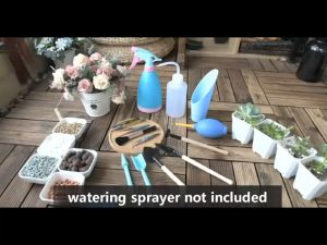 Oright 14/17Pcs Care Potted Planting Gardening Tool Kit: The Ultimate Succulent Tool Kit