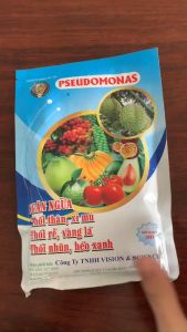 Pseudomonas - Chế Phẩm Vi Sinh Phòng Trừ Héo Xanh Thối Rễ - 500g