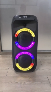 RD-6618B: A High-Power Backpack Speaker with Dual Speakers & RGB Lighting