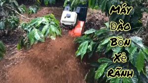 Máy xới đất xẻ rãnh cho vườn cà phê