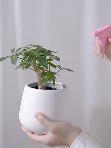 ติดตั้งง่าย ชั้นวางติดผนัง 3 ชิ้น สไตล์มินิมอล ไม่ต้องเจาะผนัง เหมาะสำหรับห้องนั่งเล่น ชั้นวางข้างเตียง แผ่นชั้นวางในห้องนอน