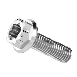 GUWANJI | Titanium Alloy Internal Hex Drive Flanged Screw
