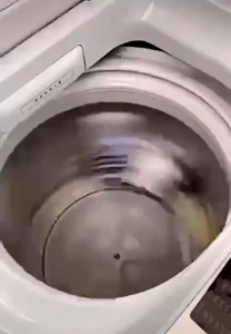 Reusable Washing Machine Laundry Ball Magic Clothes Dyer Ball Buy 1 Take 1