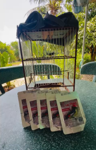 (combo 5 gói) Cám dưỡng Ôc mít Lê Thịnh gói 100gr