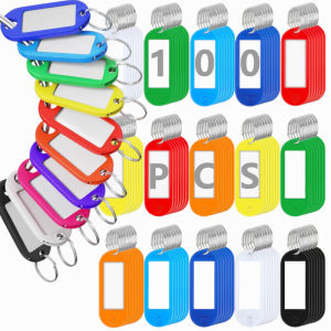 100 Pcs Plastic Key Labels Tags with Keychain Ring for Key Holder Assorted Colors