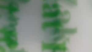 Plastik Zakat Fitrah 25/27/3kg isi 50/100pcs PE Bening Tebal 08 Ukuran 25x35cm Starplast