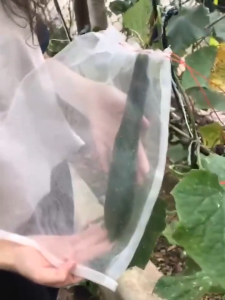 100PCS Pembungkus Buah/Fruit Cover Anti Serangga/Kantong Jaring Pembungkus Buah