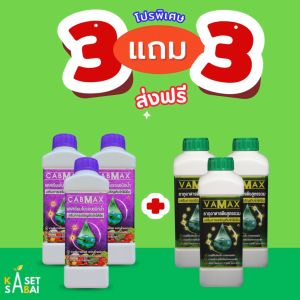 ปุ๋ยธาตุรวม VAMAX 3 ลิตร + แคลเซียมโบรอน CABMAX 3 ลิตร ส่งฟรี