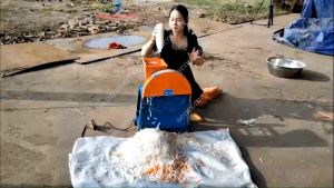 Máy băm sả làm tinh dầu.Máy thái lát củ quả