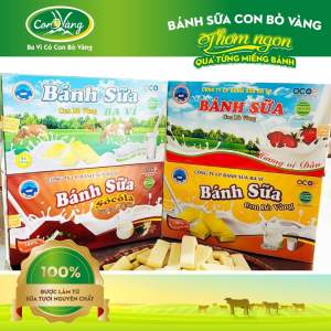 combo 4 hộp bánh sữa mix vị dâu+ socola + nguyên chất + truyền thống ĐẶC SẢN BA VÌ- HỒNG BA VÌ
