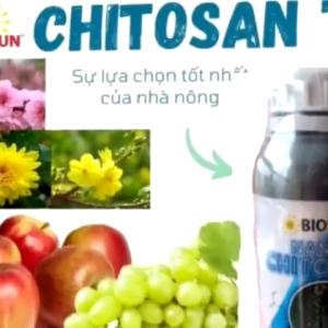 Nano Chitosan BioSun 5% 500ml – Chế Phẩm Sinh Học Cho Cây Công Nghiệp & Ăn Trái Giúp Phòng Nấm Hại