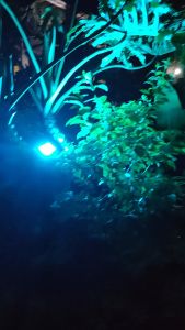 Solar Light Promo Sale Outdoor Waterproof 50000W RGB Christmas Lights 16 Colors+4 modes Solar RGB Colorful Flood Light with Remote Control IP67 Waterproof Street Light Solar Lamp