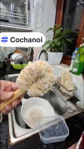 KB Cây Cọ Rửa Đa Năng - Cán Gỗ 10 cm – Làm Sạch Tiện Lợi Bảo Vệ Môi Trường