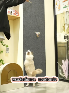 แผ่นลับเล็บแมว ที่ฝนเล็บ แผ่นติดผนัง/โซฟา กาวในตัว กันแมวข่วน ปกป้องเฟอร์นิเจอร์