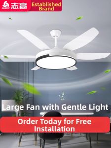 Chigo | Large Size Ceiling Fan Light with Integrated Fan