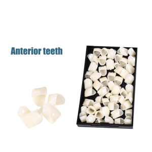 GULPOOE Nha Khoa Vỏ Răng Tạm Thời Làm Trắng Răng Bằng Sứ Veneer Phía Trước Và Phía Sau Chất Liệu Nhựa Dùng Cho Chăm Sóc Răng Miệng - 1Hộp