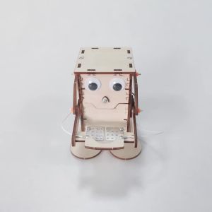 Childrens Science and Education Experiment Models Childrens DIY Handcrafted Assembly Toys Childrens DIY Gifts Educational