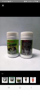 BESTEA 40gr Teh Hitam untuk Diabetes kolesterol dan hipertensi