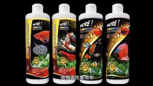 Vitamin dưỡng cá SL-Aqua Aquavital For Fish dinh dưỡng bổ sung vitamin bể cá tép cảnh