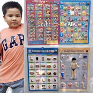 โปสเตอร์กอไก่abc โปสเตอร์เสริมพัฒนาการเด็ก โปสเตอร์พลาสติก จัด4แผ่นราคาน่ารัก