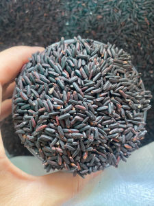 1kg Gạo lứt đen Điện Biên ngon dẻo ship rẻ