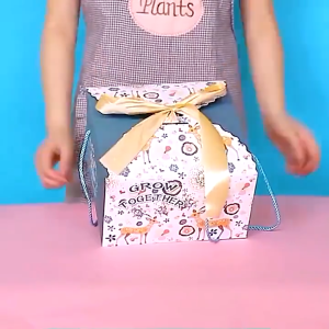 RGT Goodie Bag Ulang Tahun Anak Motif Kartun, Kotak Kado, Tas Bingkisan Hadiah Anak, dan Paper Bag Snack Karakter: Souvenirs Party Supplies