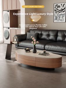 YIYOU | Minimalist Luxe Rock Plate Coffee Table