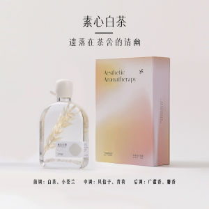 Aroma Museum Intentional Aesthetic Essential Oil Indoor Room Fragrance No-Flame Wicker Stick Long Lasting Home Decor Gift