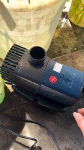 Sunsun JTP 3800 5800 9000 10000 12000 16000 Pompa Kolam Celup Submersible Low Watt