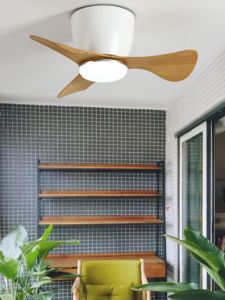 22 Inch Mini Ultra-Thin Ceiling Mounted Fan Light Hallway Passage Entryway Compact Space Variable Frequency Hanging Fan Light