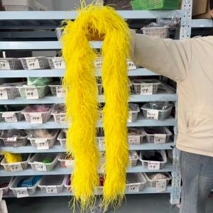 Customized 2Ply 3Ply 6Ply 8Ply 10Ply 2Meters Pink Ostrich Feather Boa Shawl Thick Ostrich Plume Scarf Costume Plumes Dress Decor